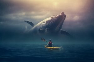 a kayaker in the sea with a whale